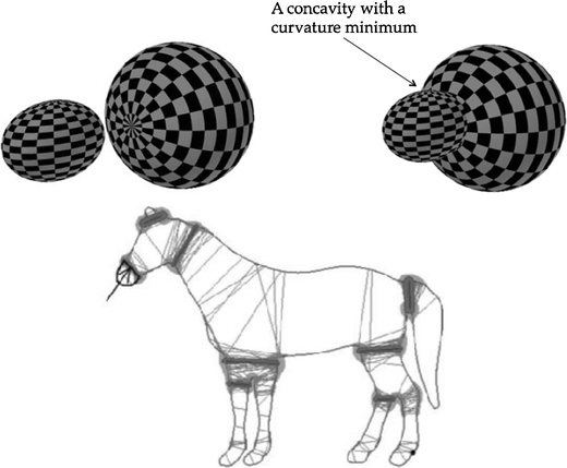 Shape recognition: convexities, concavities and things in between