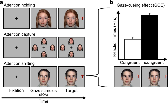 Gaze and Eye Contact Research, PDF