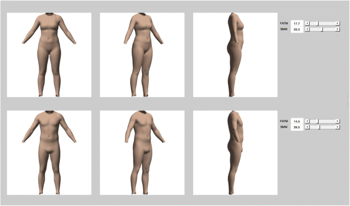 Beyond BMI for self-estimates of body size and shape: A new method for  developing stimuli correctly calibrated for body composition