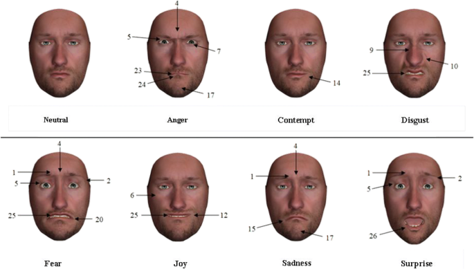FACSHuman, a software program for creating experimental material by  modeling 3D facial expressions | Behavior Research Methods