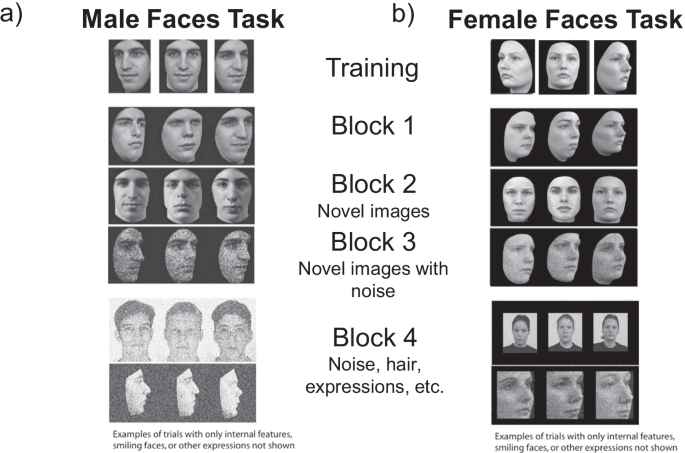 Introducing the female Cambridge face memory test – long form (F-CFMT+) |  Behavior Research Methods