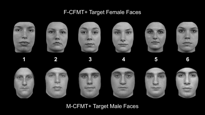 Introducing the female Cambridge face memory test – long form (F-CFMT+) |  Behavior Research Methods
