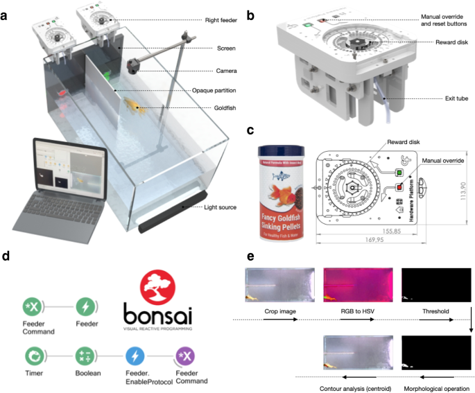 BonZeb: open-source, modular software tools for high-resolution zebrafish  tracking and analysis