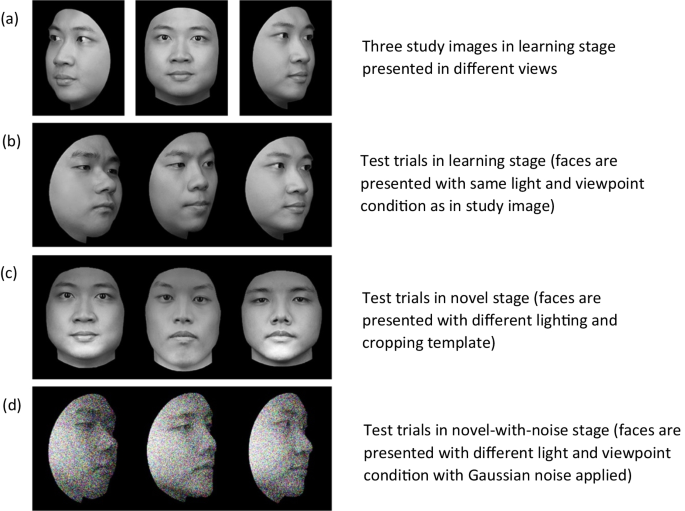 A new Asian version of the CFMT: The Cambridge Face Memory Test – Chinese  Malaysian (CFMT-MY) | Behavior Research Methods