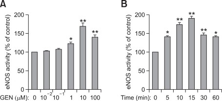 Genistein activates endothelial nitric oxide synthase in broiler pulmonary arterial endothelial cells by an akt-dependent mechanism