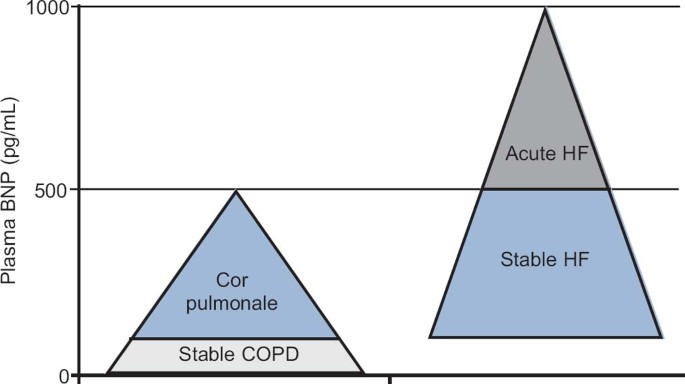 amphibole ternary diagram amphibole ternary diagram
