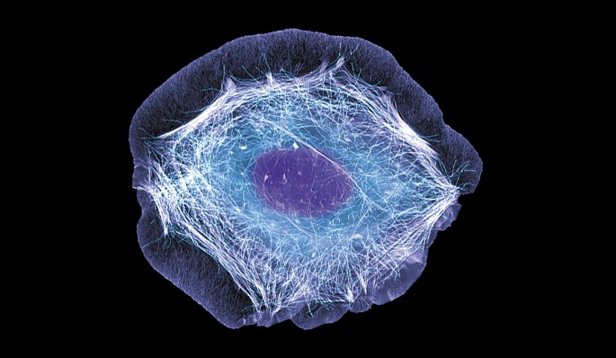 are molecules smaller than cells are molecules smaller than cells