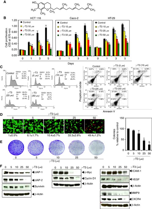 γ -Tocotrienol suppresses growth and sensitises human ...