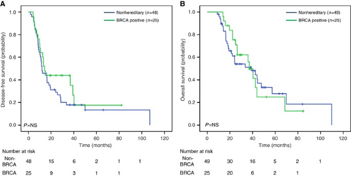 Overall survival and clinical characteristics of BRCA