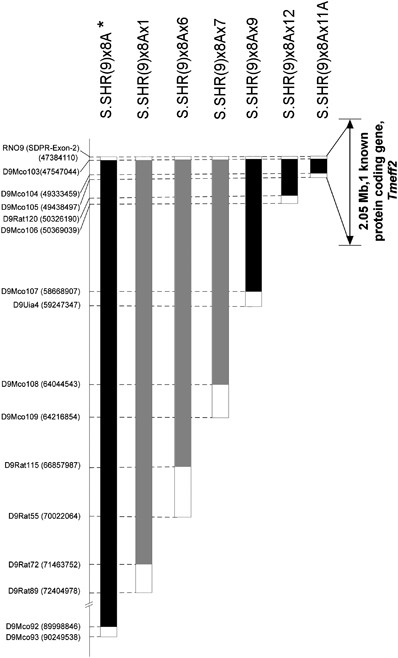 refined mapping of blood pressure quantitative trait loci blood pressure mapping