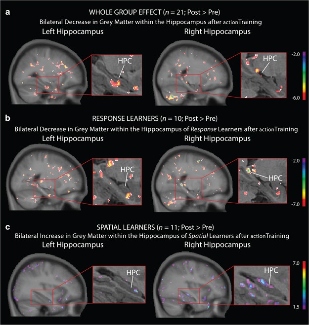 😊 The impact of videogames on society. 25+ Positive and Negative Effects of Video Games. 20190202