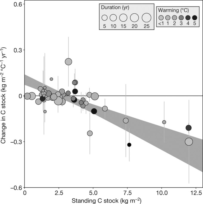 Quantifying global soil carbon losses in response to warming Nature