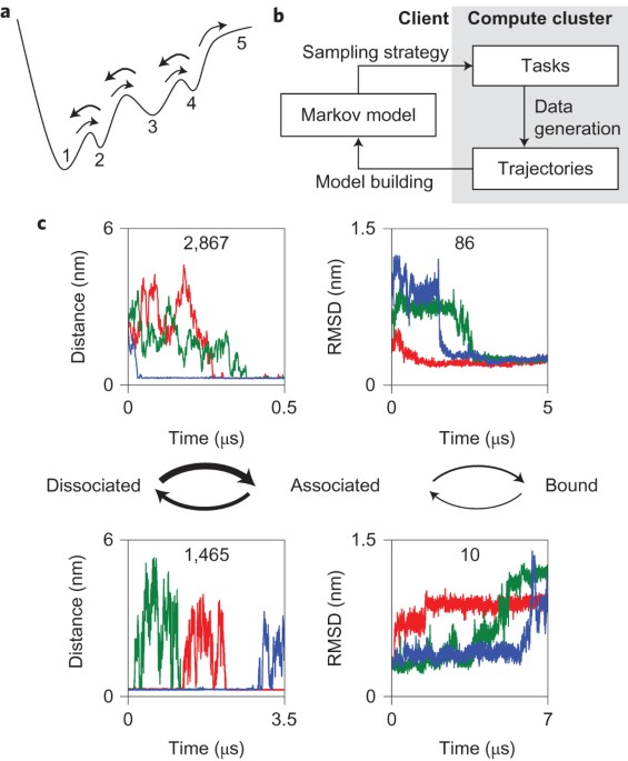 Complete proteinprotein association in atomic detail revealed