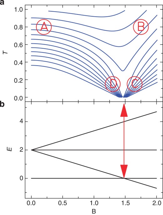 Quantum signatures of a molecular nanomagnet in direct ... Quantum signatures of a molecular nanomagnet in direct ...