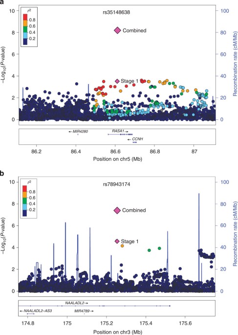 Two susceptibility loci identified for prostate cancer ...