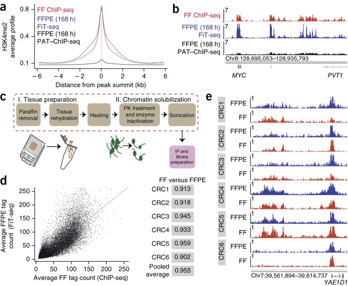 10x chromium single cell immune profiling 10x chromium single cell immune profiling