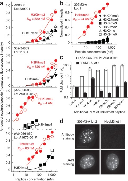 Recombinant antibodies to histone post-translational ...
