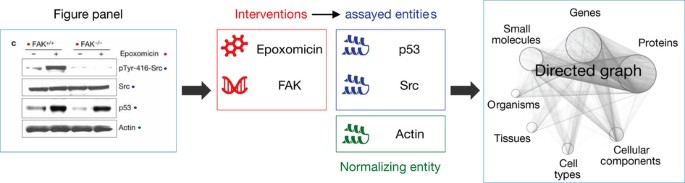 SourceData a semantic platform for curating and searching