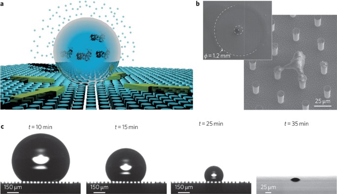 Breaking the diffusion limit with super-hydrophobic ...