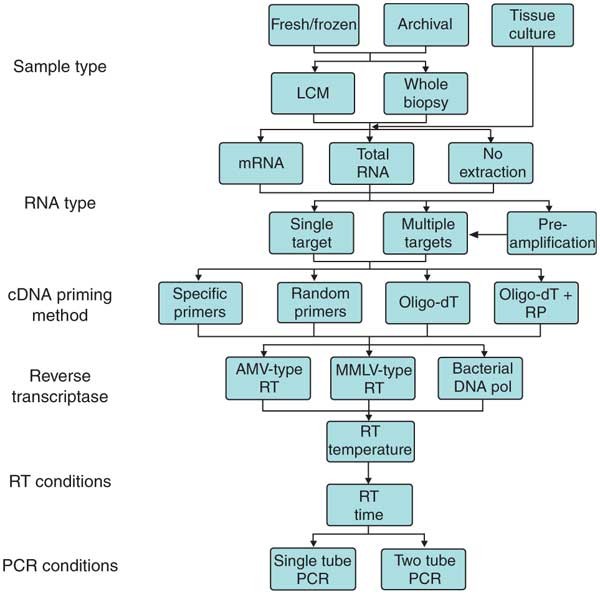 biomarkers for stress in fish embryos and larvae