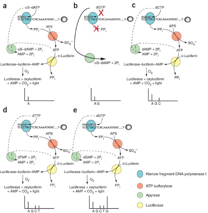 Dna methylation research papers