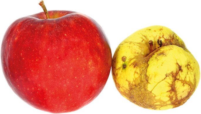 A tale of two taus in traumatic brain injury | Nature ...