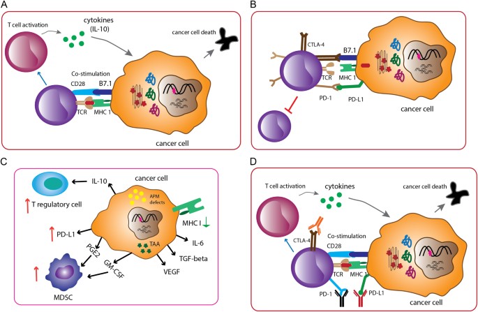 Unwrapping the genomic characteristics of urothelial