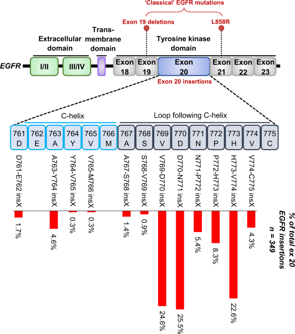 Targeting EGFR exon 20 insertion mutations in nonsmall