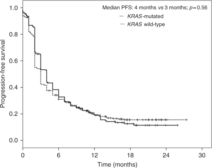 Nivolumab in small cell lung cancer