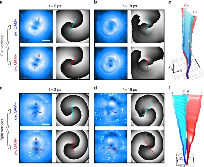 Interactions and scattering of quantum vortices in a polariton fluid