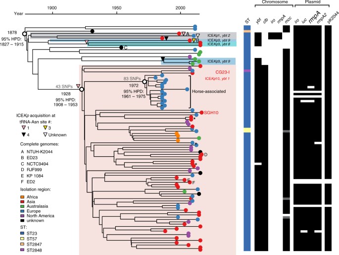 Population genomics of hypervirulent Klebsiella pneumoniae clonalgroup