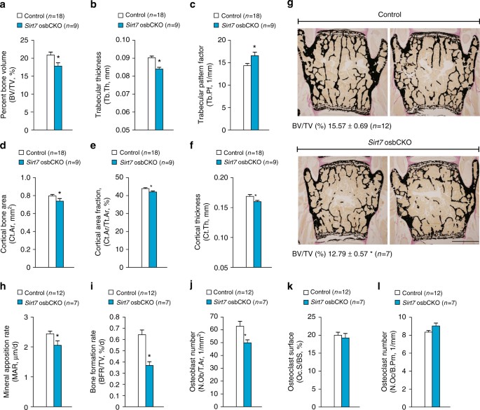 Husmanss Chord Remember Lewati Semua
