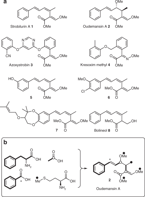 Strobilurin biosynthesis in Basidiomycete fungi Nature