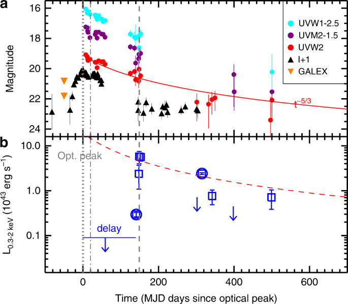 X-ray flares from the stellar tidal disruption by a ...