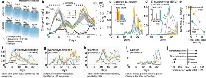 Viral infection switches the balance between bacterial and eukaryotic ...