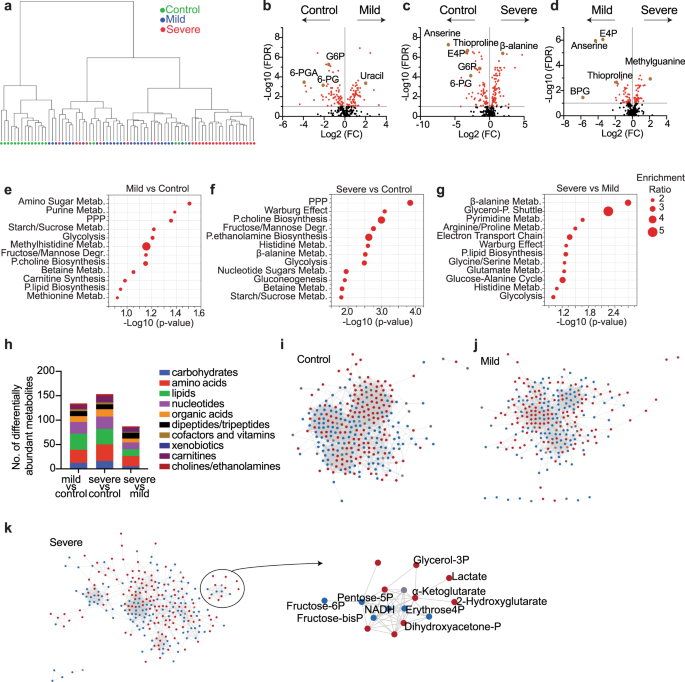 Neutrophil metabolomics in severe COVID-19 reveal GAPDH as a suppressor ...