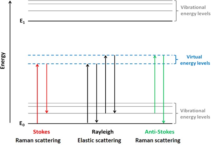 Raman spectroscopy and regenerative medicine: a review ... diagram of spectrometer 