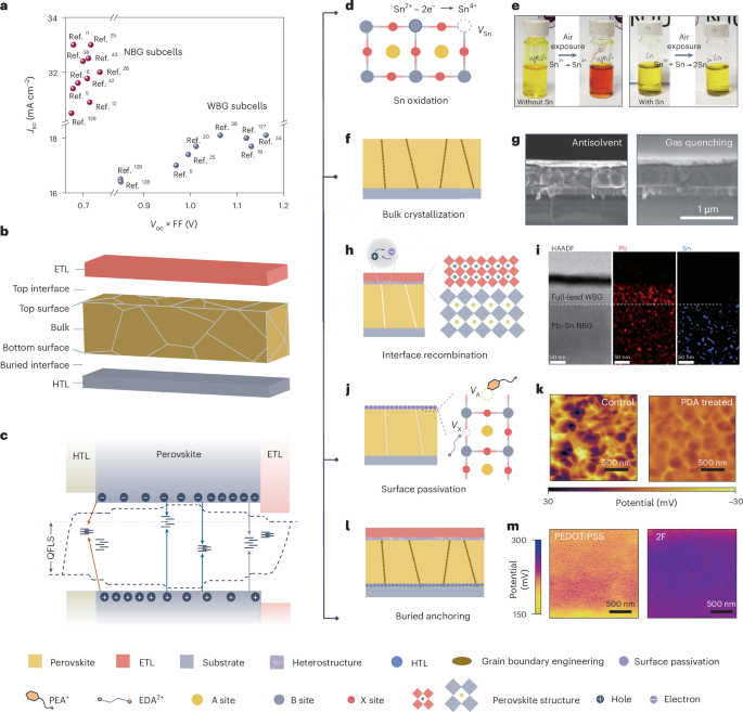 Present status of and future opportunities for all-perovskite tandem photovoltaics