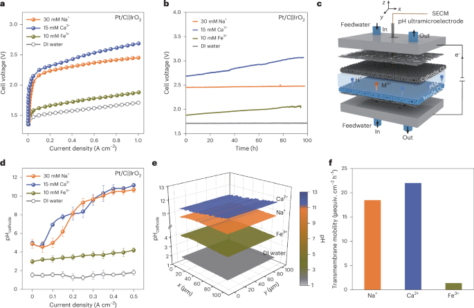 Cathode catalyst layers modified with Brønsted acid oxides to improve proton exchange membrane electrolysers for impure water splitting