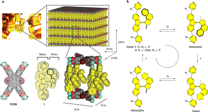 Unidirectional rotary motion in a framework