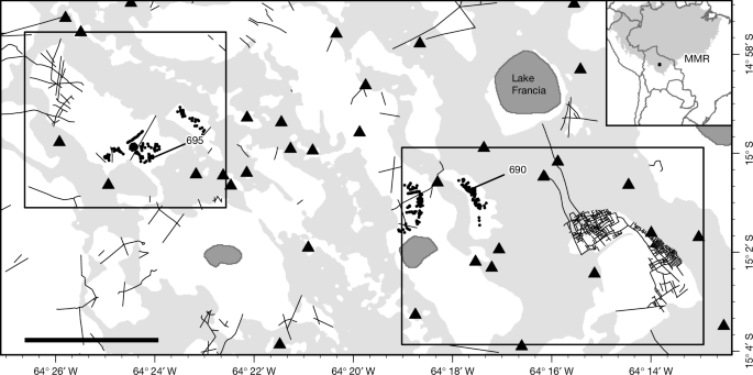 Maize monoculture supported pre-Columbian urbanism in southwestern Amazonia