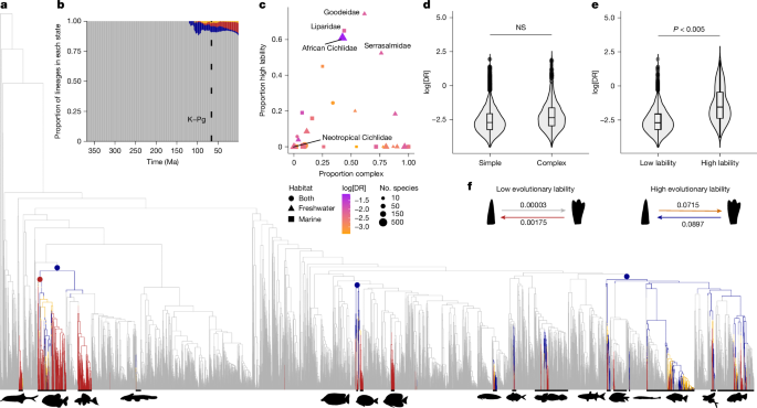 Evolutionary lability of a key innovation spurs rapid diversification