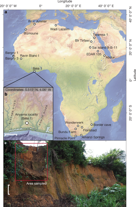 Humans in Africa’s wet tropical forests 150 thousand years ago
