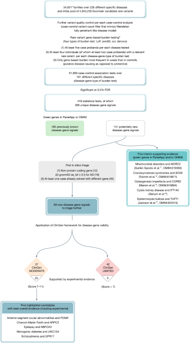 Rare disease gene association discovery in the 100,000 Genomes Project