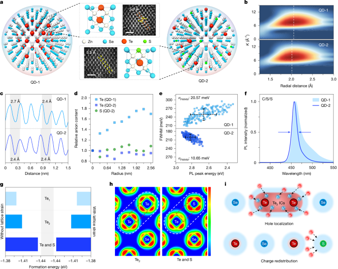 Homogeneous ZnSeTeS quantum dots for efficient and stable pure-blue LEDs