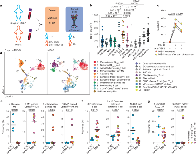 TGFβ links EBV to multisystem inflammatory syndrome in children