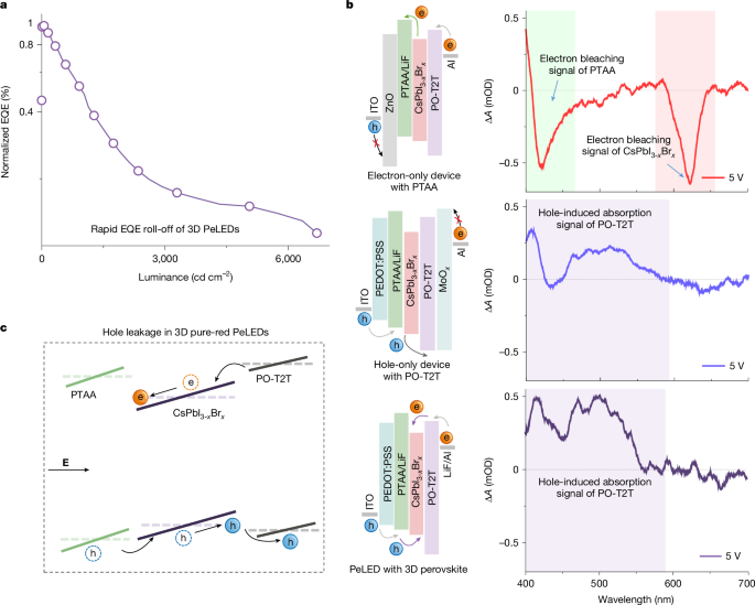 Intragrain 3D perovskite heterostructure for high-performance pure-red perovskite LEDs
