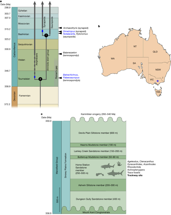 Earliest amniote tracks recalibrate the timeline of tetrapod evolution