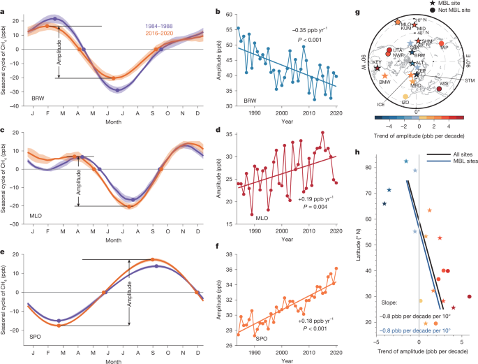 Trends in the seasonal amplitude of atmospheric methane