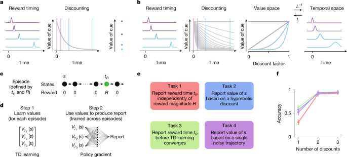 Multi-timescale reinforcement learning in the brain